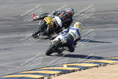 media/Feb-04-2024-SoCal Trackdays (Sun) [[91d6515b1d]]/4-Bowl Backside (11am)/